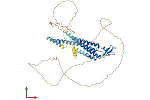 Protein Structure (PS) image for Gap Junction Protein, alpha 10, 62kDa (GJa10) (AA 1-505) protein (His tag) (ABIN7556290)