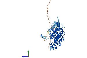 Protein Structure (PS) image for DNA Repair Protein RAD51 Homolog 3 (RAD51C) (AA 1-376) protein (His tag) (ABIN7555107)