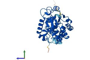 Protein Structure (PS) image for Tocopherol (Alpha) Transfer Protein (TTPA) (AA 1-278) protein (His tag) (ABIN7558967)