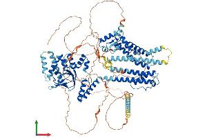 Protein Structure (PS) image for Hyperpolarization Activated Cyclic Nucleotide-Gated Potassium Channel 1 (HCN1) (AA 1-910) protein (His tag) (ABIN7562653)