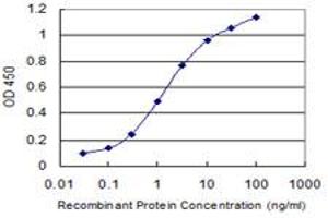 Detection limit for recombinant GST tagged DAZAP1 is 0. (DAZAP1 Antikörper  (AA 308-407))