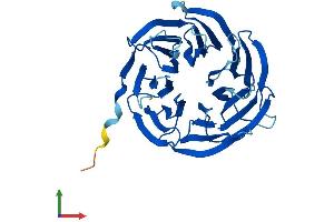 AlphaFold protein structure predicition of Mouse Recombinant Gnb1l Protein, UniprotID Q9EQ15