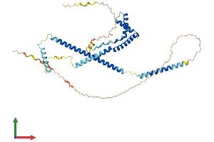 AlphaFold protein structure predicition of Mouse Recombinant Smarce1 Protein, UniprotID O54941