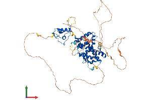 Protein Structure (PS) image for Nuclear Receptor Subfamily 4, Group A, Member 2 (NR4A2) (AA 1-598) protein (His tag) (ABIN7549905)