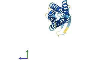 AlphaFold protein structure predicition of Mouse Recombinant Pmp22 Protein, UniprotID P16646