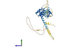 Protein Structure (PS) image for LIM Homeobox Transcription Factor 1, beta (LMX1B) (AA 1-402) protein (His tag) (ABIN7549066)