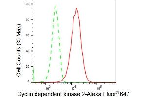 Flow cytometric analysis of Cyclin dependent kinase 2 expression in HepG2 cells using Cyclin dependent kinase 2 antibody (ABIN7798211), 1:2,000). (Rekombinanter CDK2 Antikörper)