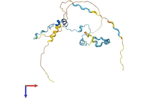 MED19 Protein (AA 1-244) (His tag)