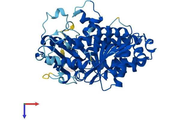 TUBD1 Protein (AA 1-453) (His tag)