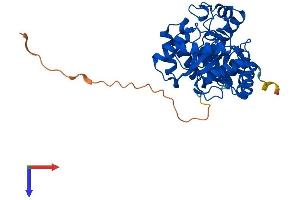 KCNAB2 Protein (AA 1-367) (His tag)