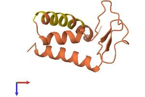 AlphaFold protein structure predicition of Human Recombinant LINC01560 Protein, UniprotID Q8TB33