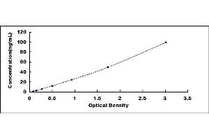 Typical standard curve (GLS2 ELISA Kit)