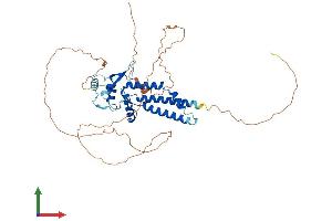 Protein Structure (PS) image for Transcription Factor AP-2 delta (Activating Enhancer Binding Protein 2 Delta) (TFAP2D) (AA 1-452) protein (His tag) (ABIN7560149)