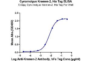 ELISA image for Kringle Containing Transmembrane Protein 2 (KREMEN2) (AA 26-364) protein (His tag) (ABIN7275105)