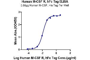 ELISA image for Colony Stimulating Factor 1 Receptor (CSF1R) (AA 20-512) protein (Fc Tag) (ABIN7274424)