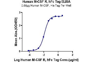 Immobilized Human M-CSF at 0. (CSF1R Protein (AA 20-512) (Fc Tag))