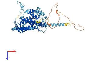 PTDSS2 Protein (AA 1-487) (His tag)