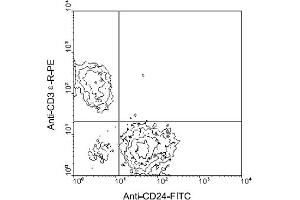 Flow Cytometry (FACS) image for anti-CD24 Molecule (CD24) antibody (FITC) (ABIN370873) (CD24 Antikörper  (FITC))