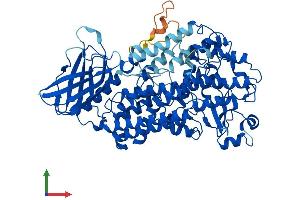 Protein Structure (PS) image for Arachidonate 12-Lipoxygenase, 12R Type (ALOX12B) (AA 1-701) protein (His tag) (ABIN7554494)