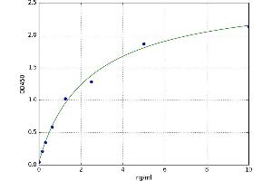 Aquaporin 9 (AQP9) ELISA Kit