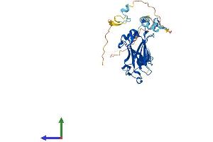Protein Structure (PS) image for TNF Receptor-Associated Factor 1 (TRAF1) (AA 1-409) protein (His tag) (ABIN7563208)