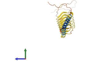Protein Structure (PS) image for Keratin Associated Protein 5-7 (KRTAP5-7) (AA 1-196) protein (His tag) (ABIN7560896)