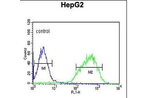 HIST1H2AL Antibody (C-term) (ABIN651090 and ABIN2840066) flow cytometric analysis of HepG2 cells (right histogram) compared to a negative control cell (left histogram). (HIST1H2AL Antikörper  (C-Term))