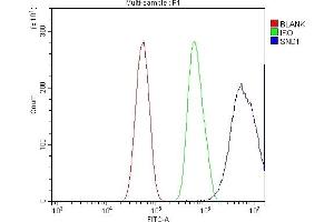 Flow Cytometry analysis of U87 cells using anti-SND1 antibody (ABIN7600527). (SND1 Antikörper  (AA 20-204))