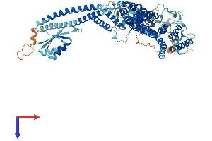 ATP6V0A1 Protein (AA 1-837) (His tag)