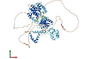 Protein Structure (PS) image for DEAD (Asp-Glu-Ala-Asp) Box Polypeptide 50 (DDX50) (AA 1-734) protein (His tag) (ABIN7560409)