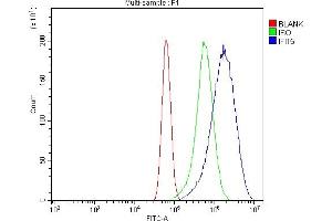 Flow Cytometry analysis of U87 cells using anti-IFIT5 antibody (ABIN7600752). (IFIT5 Antikörper  (AA 23-439))