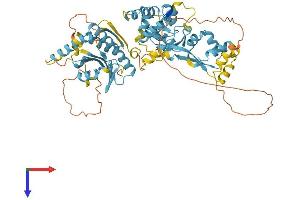 Mare/Nprl3/C16orf35 Protein (AA 1-569) (His tag)