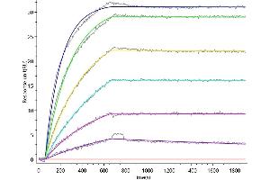 IL1RL2 Recombinant Monoclonal Antibody  captured on Protein A Chip can bind Human IL1RL2 with an affinity constant of 0.