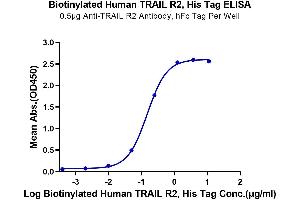 Immobilized Anti-TRAIL R2 Antibody, hFc Tag at 5 μg/mL (100 μL/well) on the plate. (TNFRSF10B Protein (His-Avi Tag,Biotin))