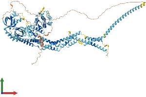 Protein Structure (PS) image for serine/threonine Kinase 31 (STK31) (AA 1-1019) protein (His tag) (ABIN7555658)