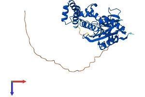 ERI1 Protein (AA 1-345) (His tag)
