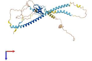 PEX13 Protein (AA 1-405) (His tag)