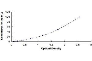 Typical standard curve (UGT1A1 ELISA Kit)