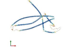 Protein Structure (PS) image for Janus Kinase and Microtubule Interacting Protein 1 (JAKMIP1) (AA 1-626) protein (His tag) (ABIN7558933)