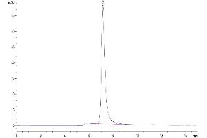 The purity of Mouse Siglec-2/CD22 is greater than 95 % as determined by SEC-HPLC.