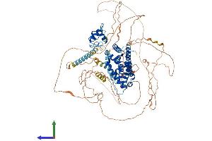 Protein Structure (PS) image for Androgen Receptor (AR) (AA 1-920) protein (His tag) (ABIN7552182)