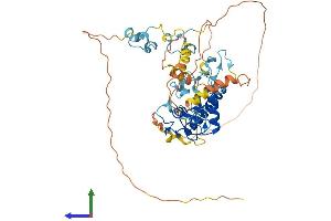 Protein Structure (PS) image for Makorin Ring Finger Protein 1 (MKRN1) (AA 1-481) protein (His tag) (ABIN7561756)