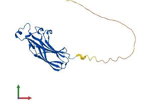 Protein Structure (PS) image for ASF1 Anti-Silencing Function 1 Homolog A (S. Cerevisiae) (ASF1A) (AA 1-204) protein (His tag) (ABIN7552417)