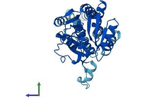 Protein Structure (PS) image for Eukaryotic Translation Initiation Factor 2B, Subunit 1 Alpha, 26kDa (EIF2B1) (AA 1-305) protein (His tag) (ABIN7560359)