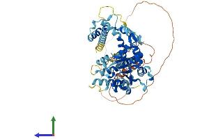 Protein Structure (PS) image for Katanin P60 Subunit A-Like 2 (KATNAL2) (AA 1-538) protein (His tag) (ABIN7548622)