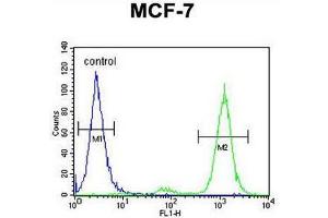 CNPY2 Antibody (C-term) flow cytometric analysis of MCF-7 cells (right histogram) compared to a negative control cell (left histogram).