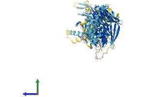 Protein Structure (PS) image for Pigeon Homolog (PION) (AA 1-858) protein (His tag) (ABIN7563663)