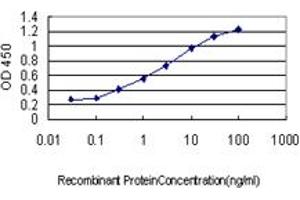 Detection limit for recombinant GST tagged MAF is approximately 0. (MAF Antikörper  (AA 304-403))