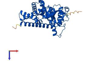 TALDO1 Protein (AA 1-337) (His tag)