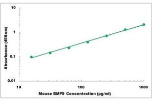 Representative Standard Curve (GDF2 ELISA Kit)